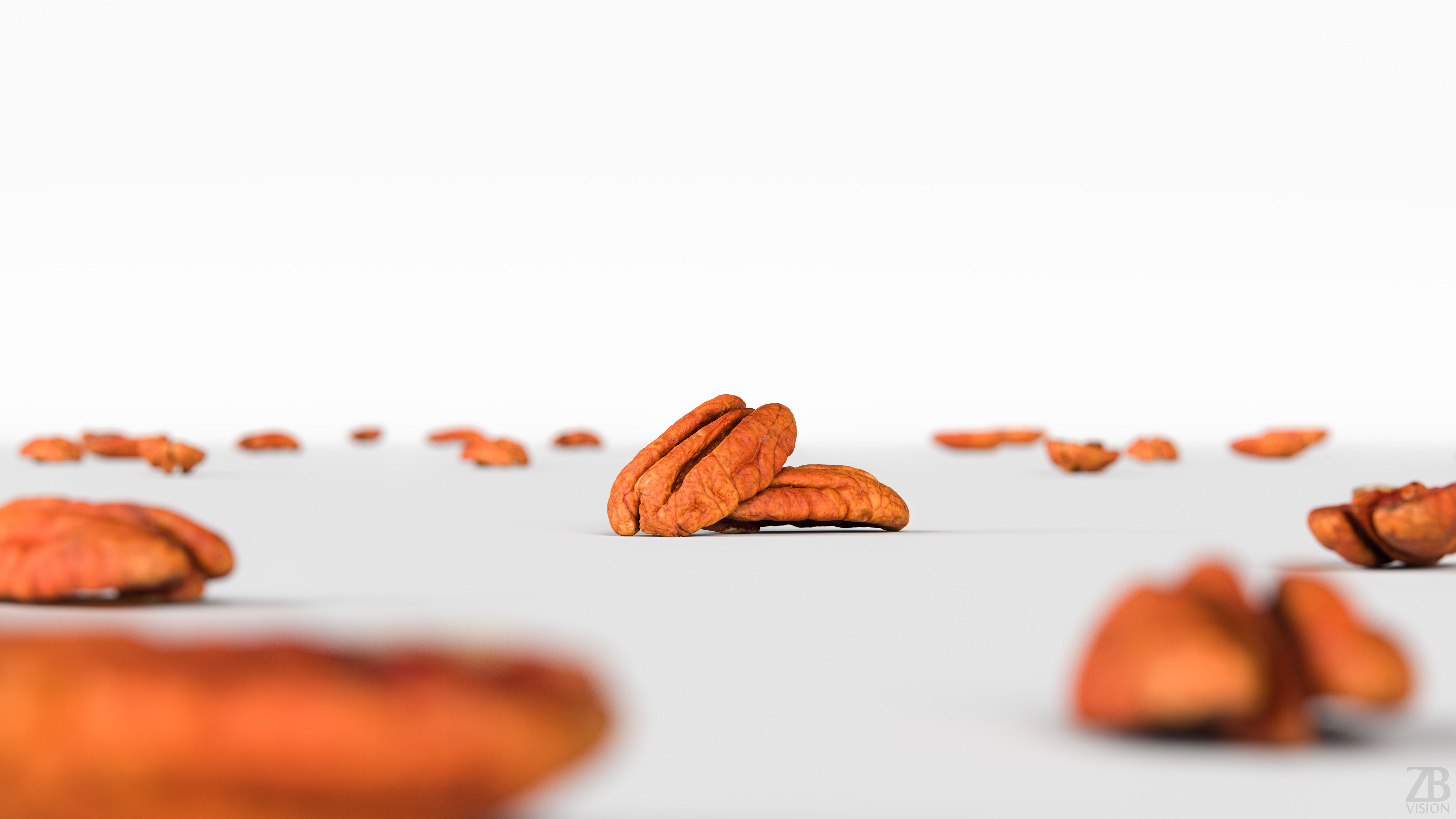 Pecan 3D model_1