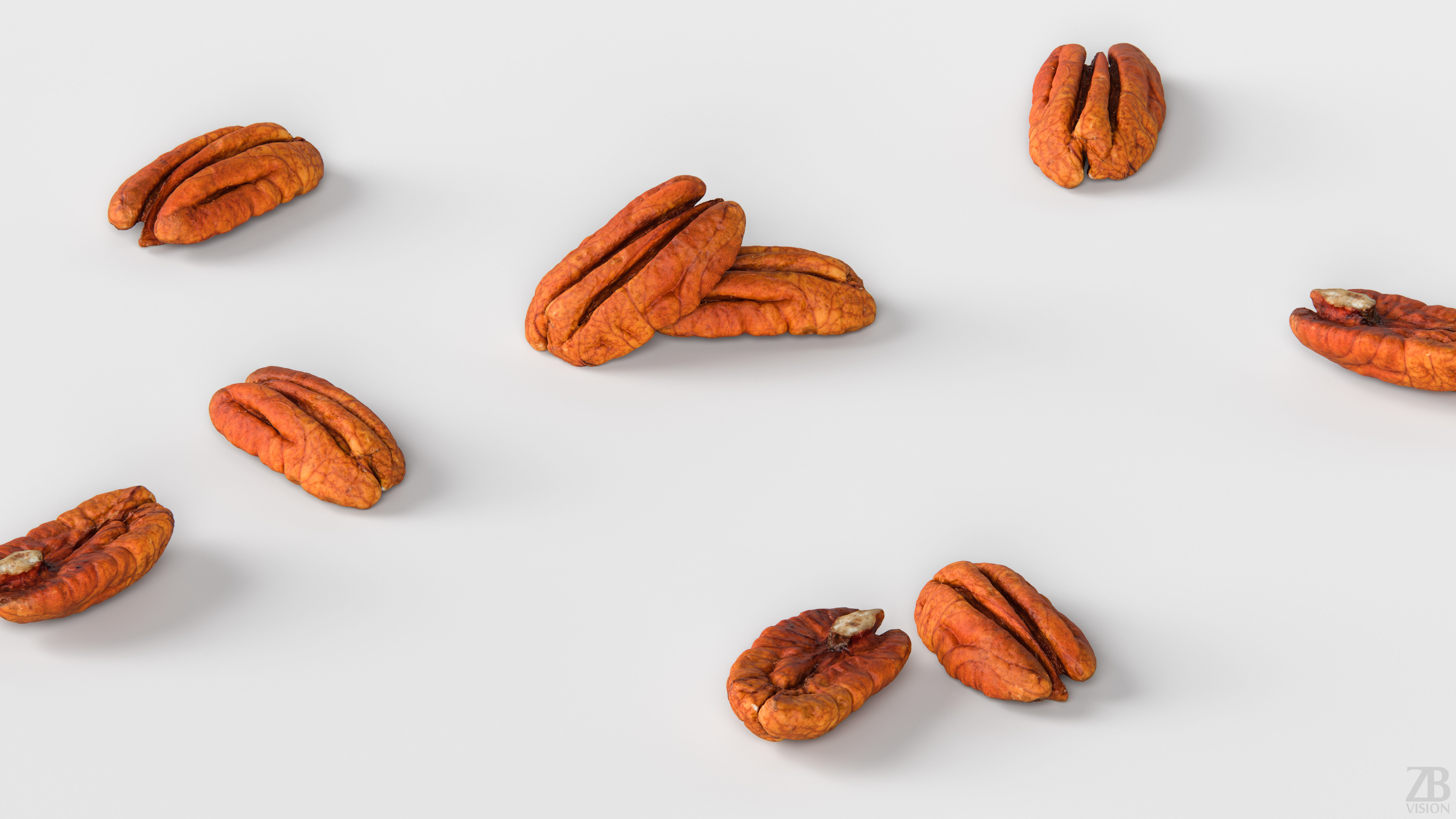 Pecan 3D model_2