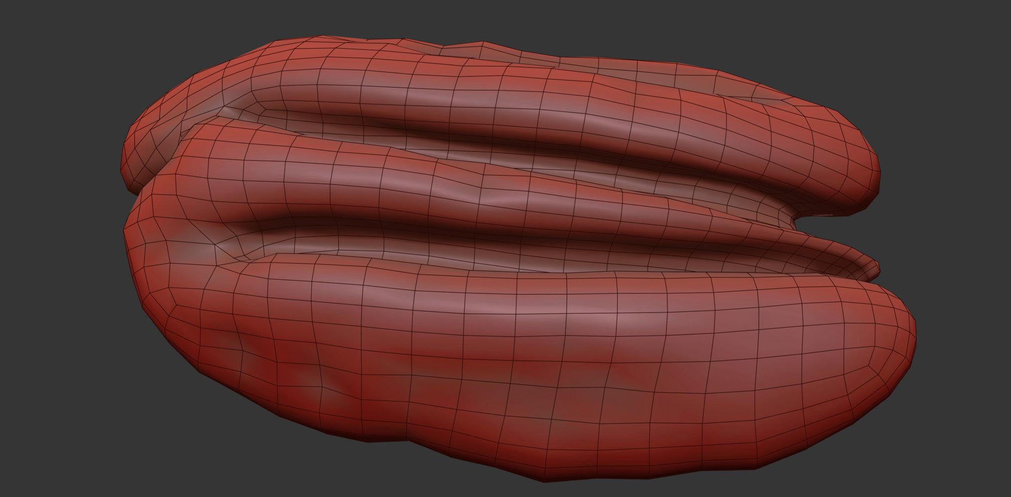 Pecan 3D model_9