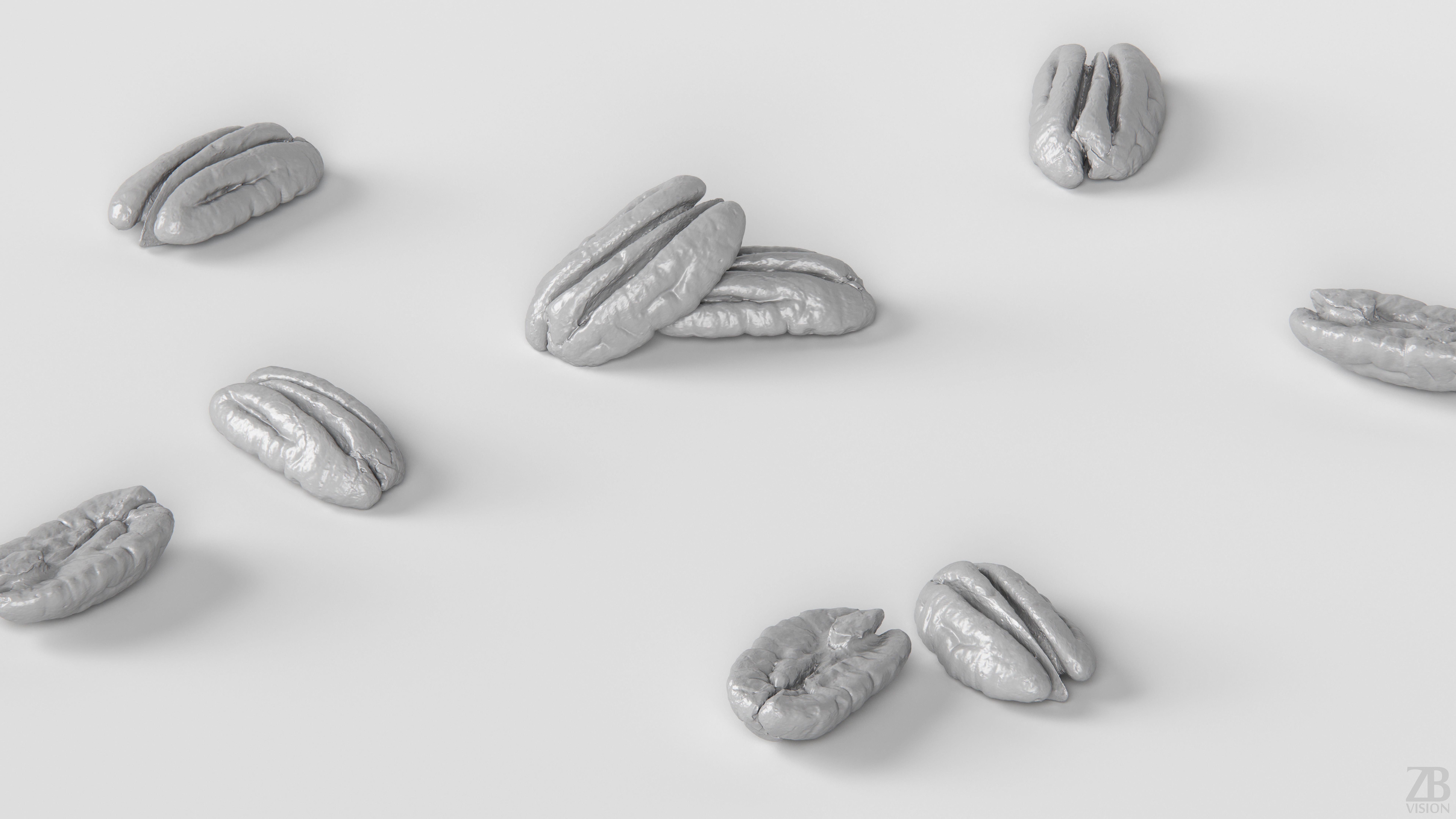 Pecan 3D model_3