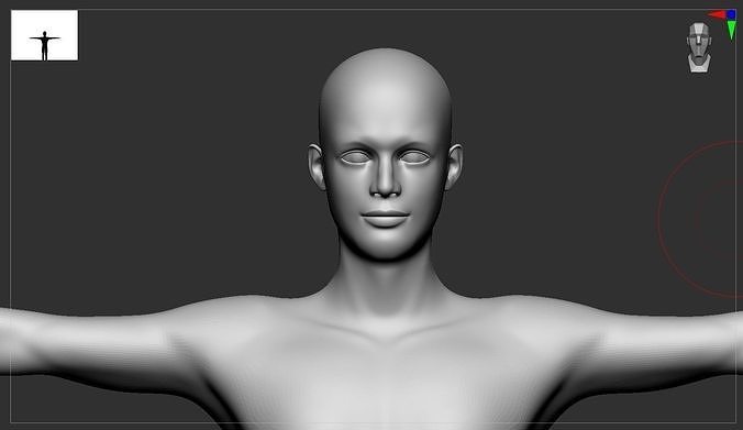 Stylized  male basemesh model 3D print model