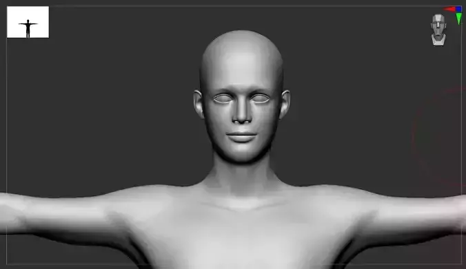 Stylized  male basemesh model 3D print model