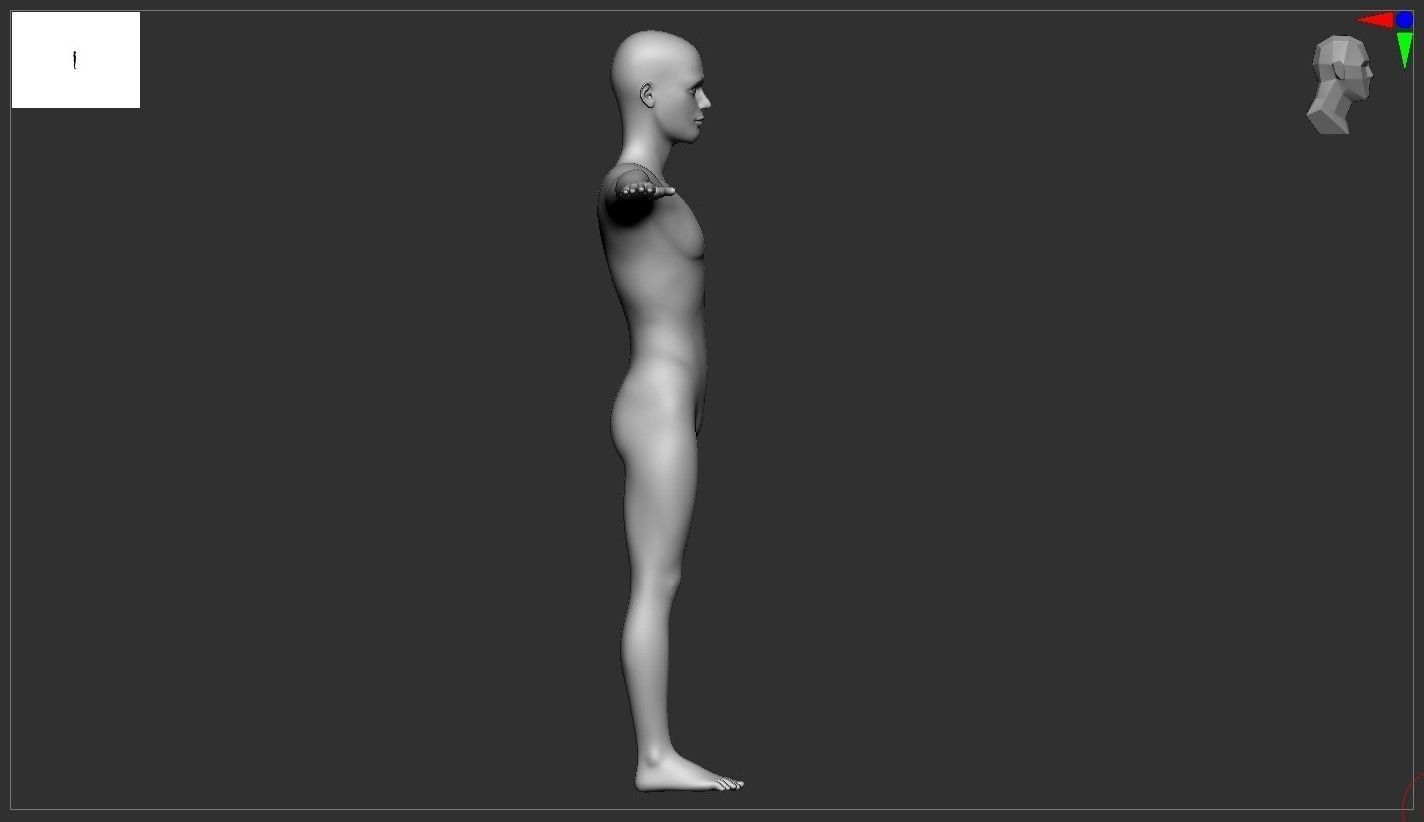 Stylized  male basemesh model 3D print model_1