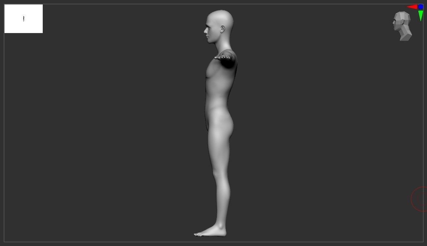 Stylized  male basemesh model 3D print model_3