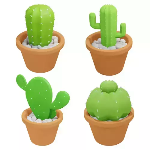 cactus1-4 cactus in pot