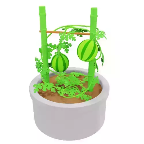 watermelon Strawberry