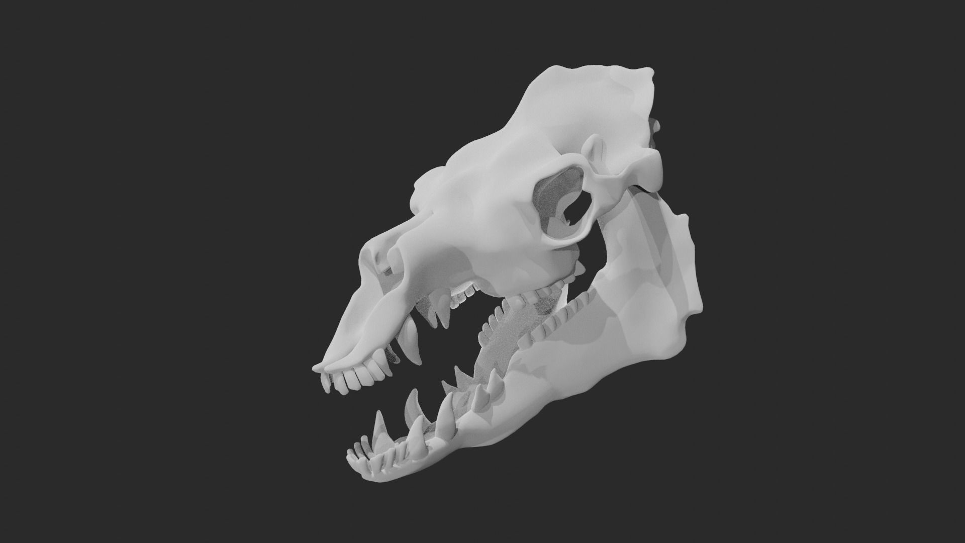 Skull of camel 3D model_4