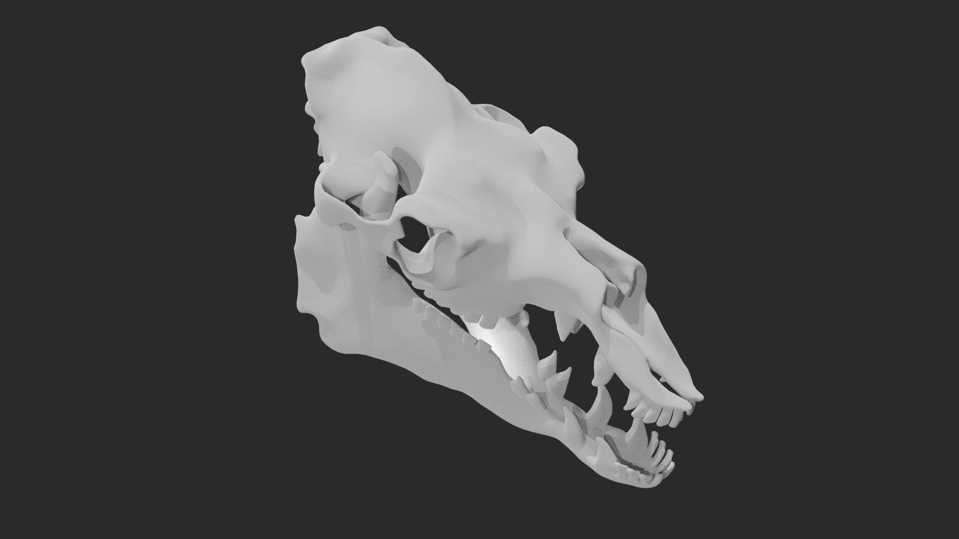 Skull of camel 3D model_5