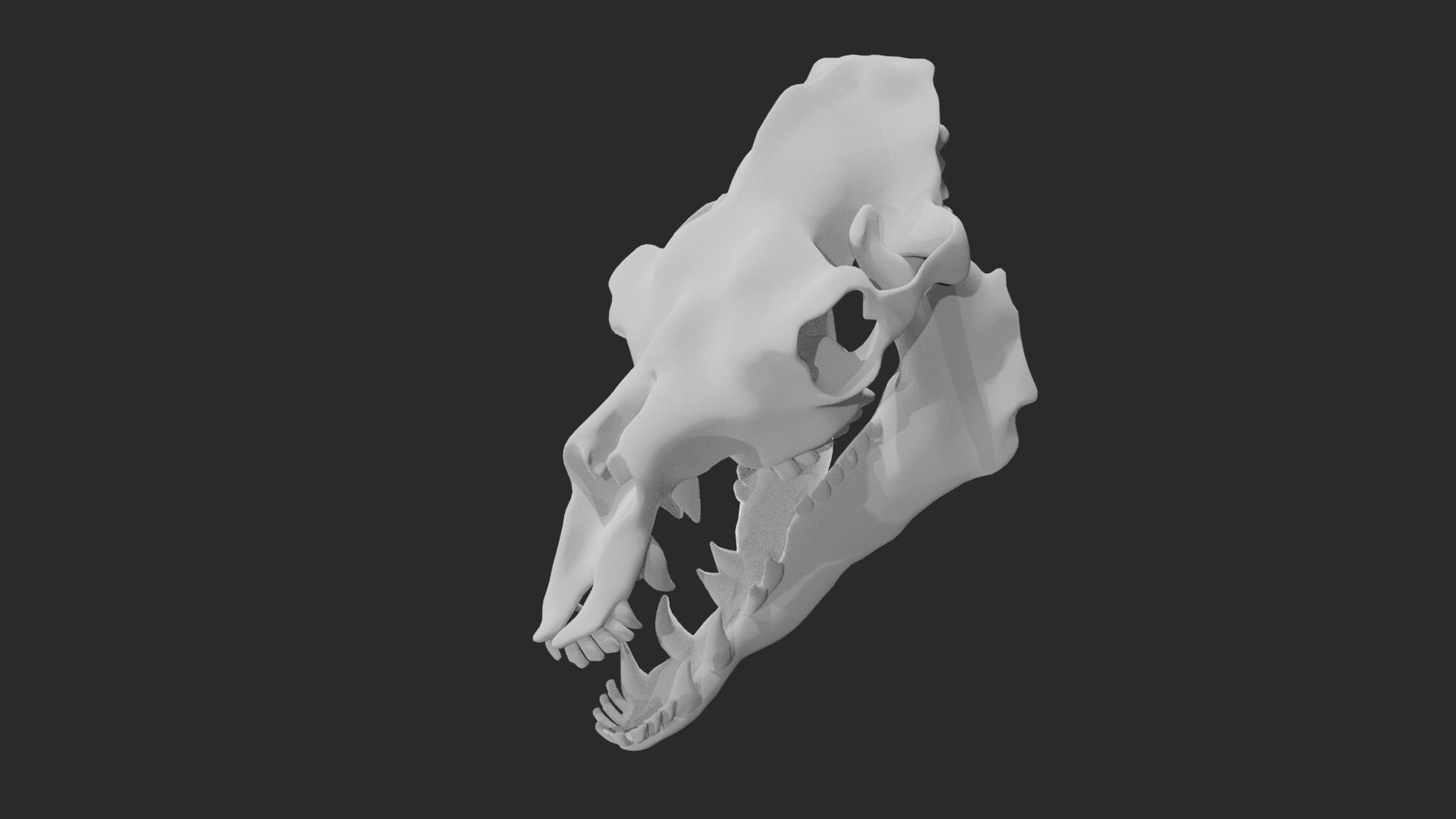 Skull of camel 3D model_2