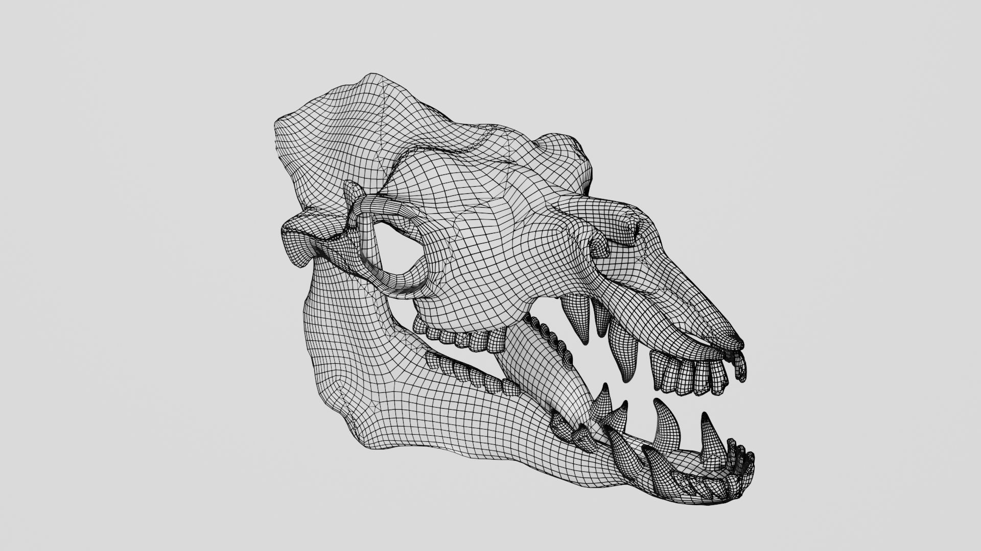 Skull of camel 3D model_7