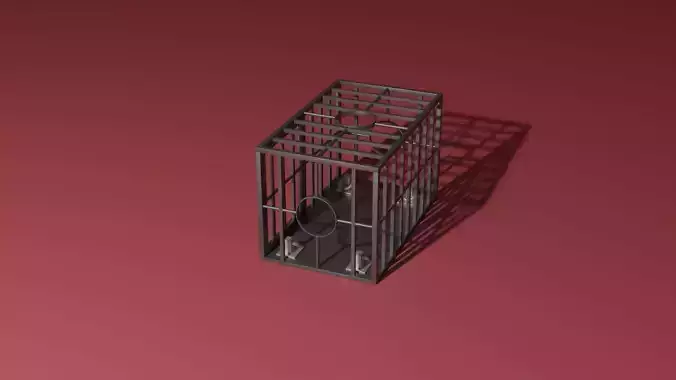 BDSM cage