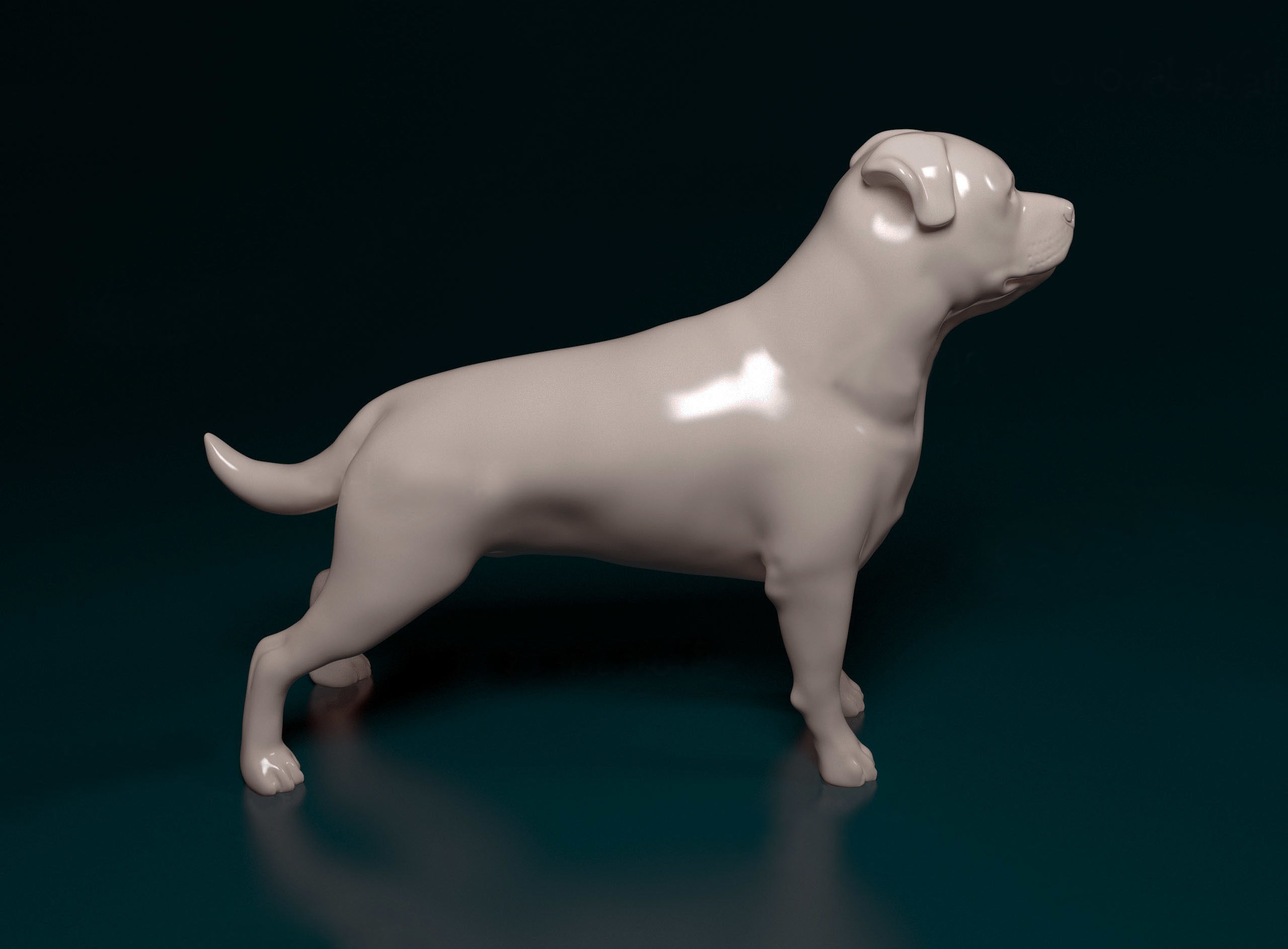 Rottweiler dog 3D print model_2