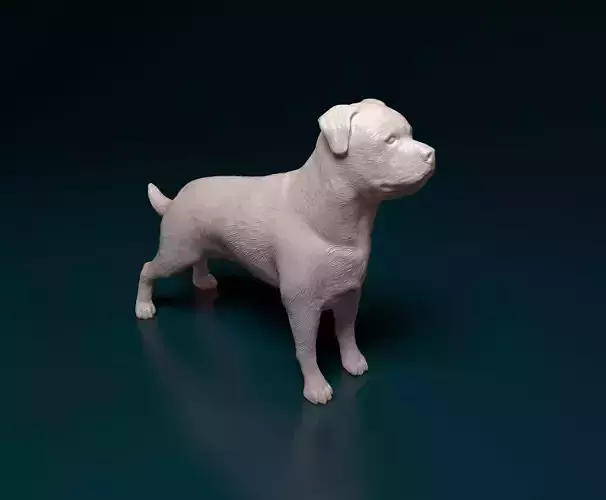 Rottweiler dog 3D print model