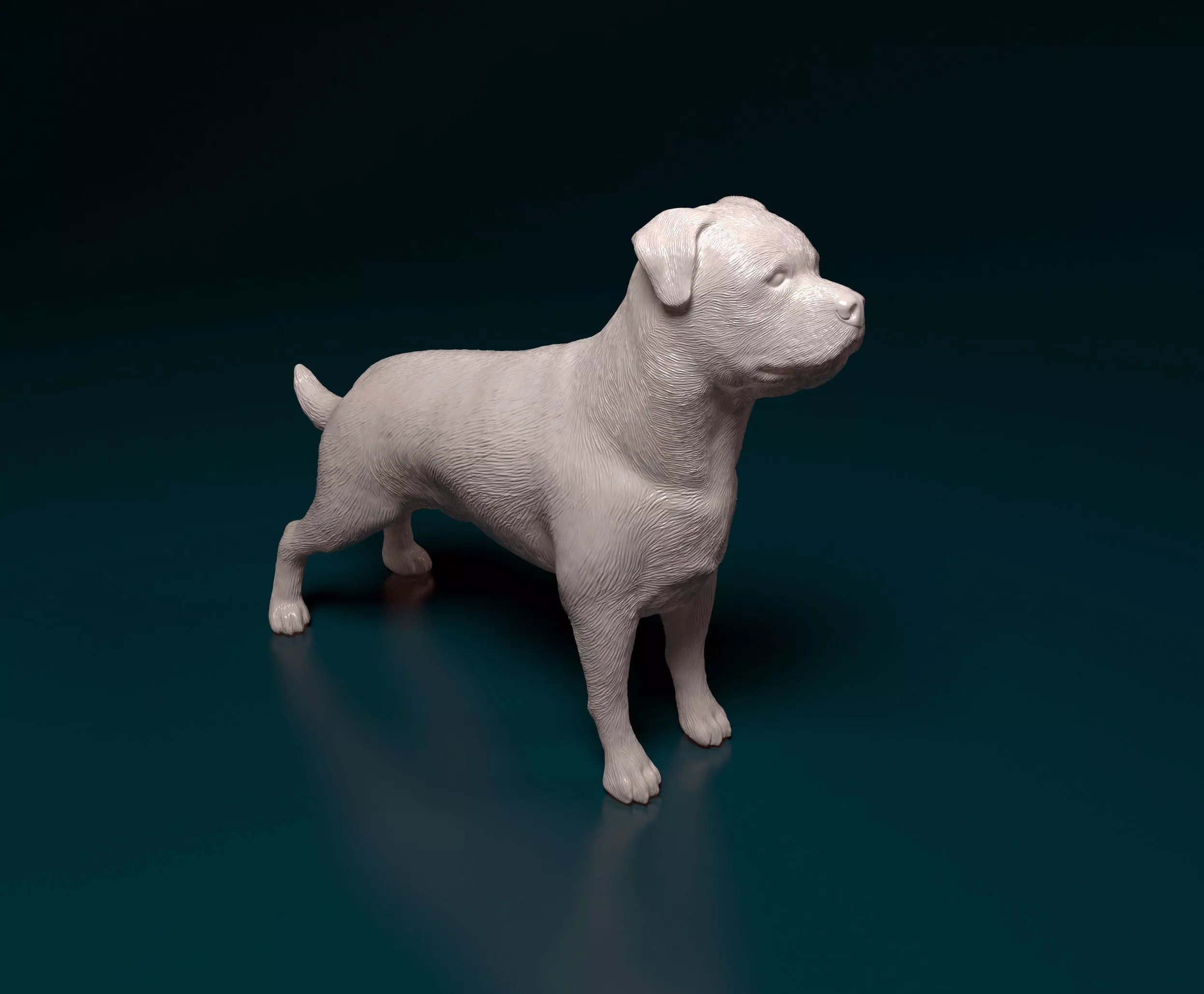 Rottweiler dog 3D print model_0