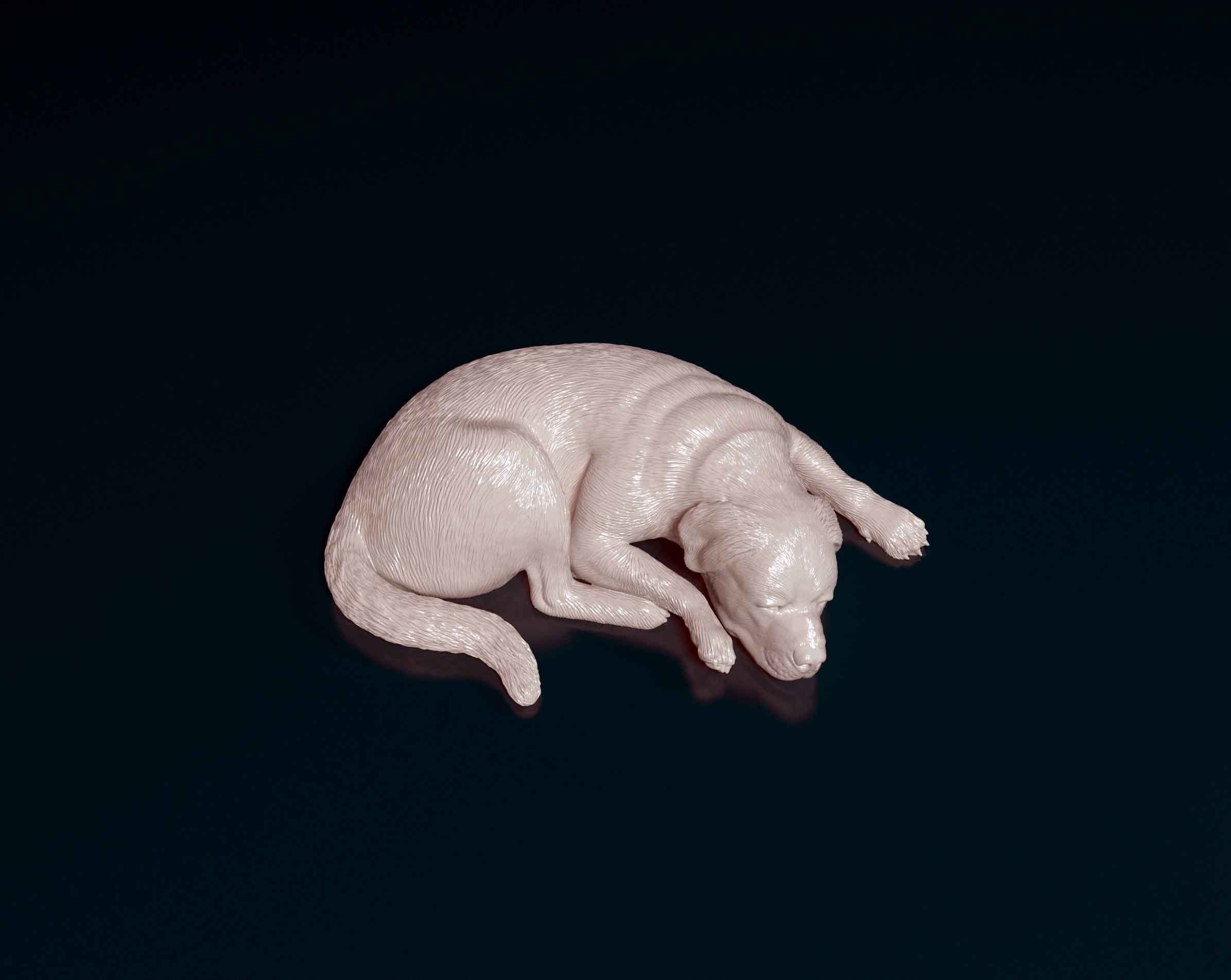 Rottweiler sleeping dog 3D print model_1