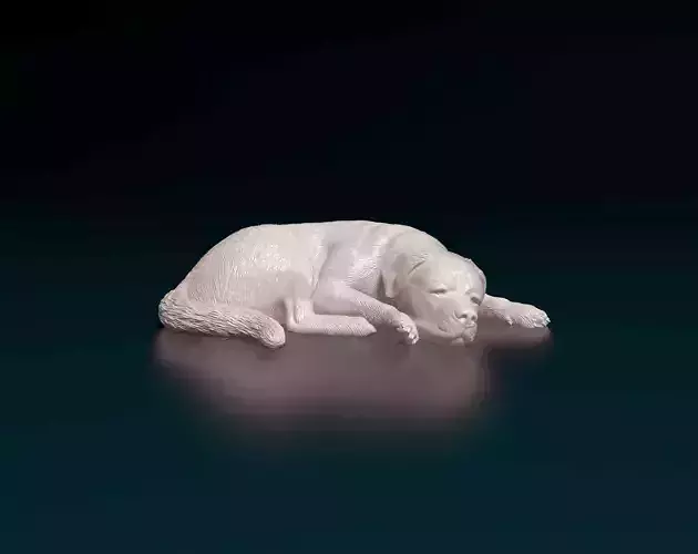 Rottweiler sleeping dog 3D print model