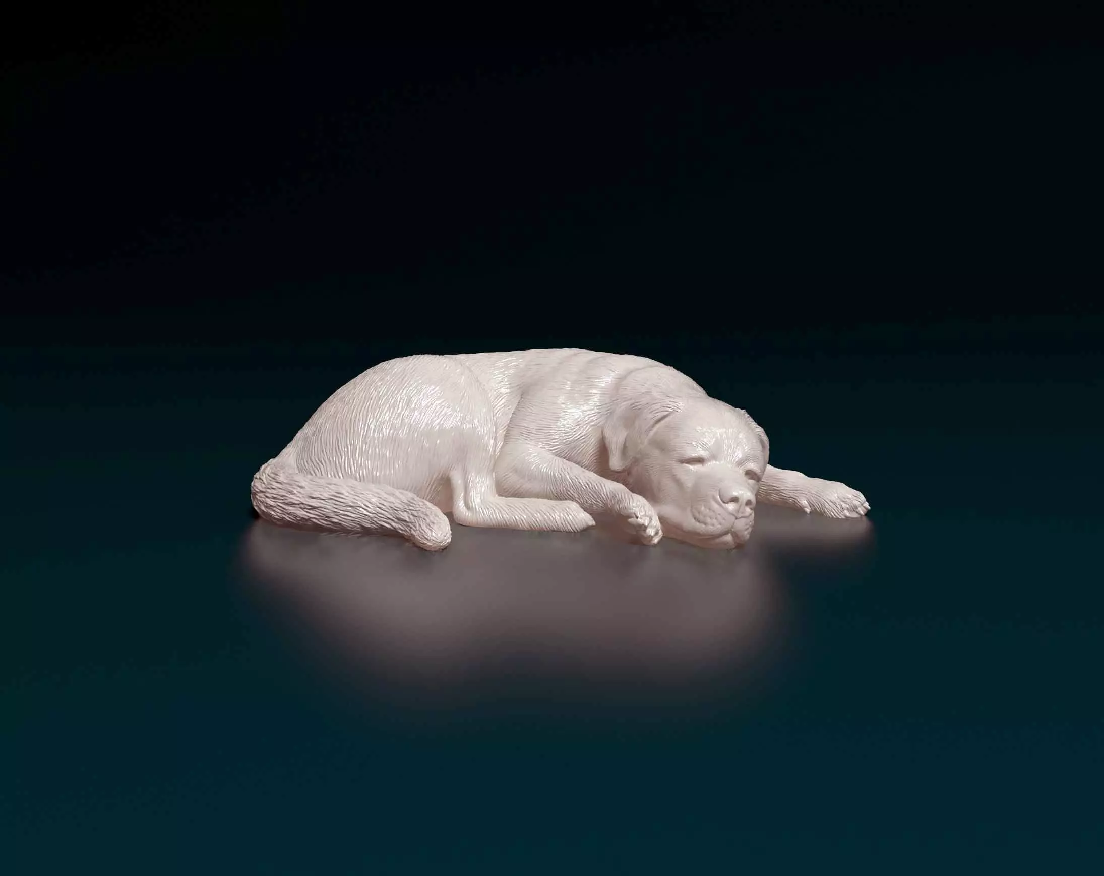 Rottweiler sleeping dog 3D print model_0