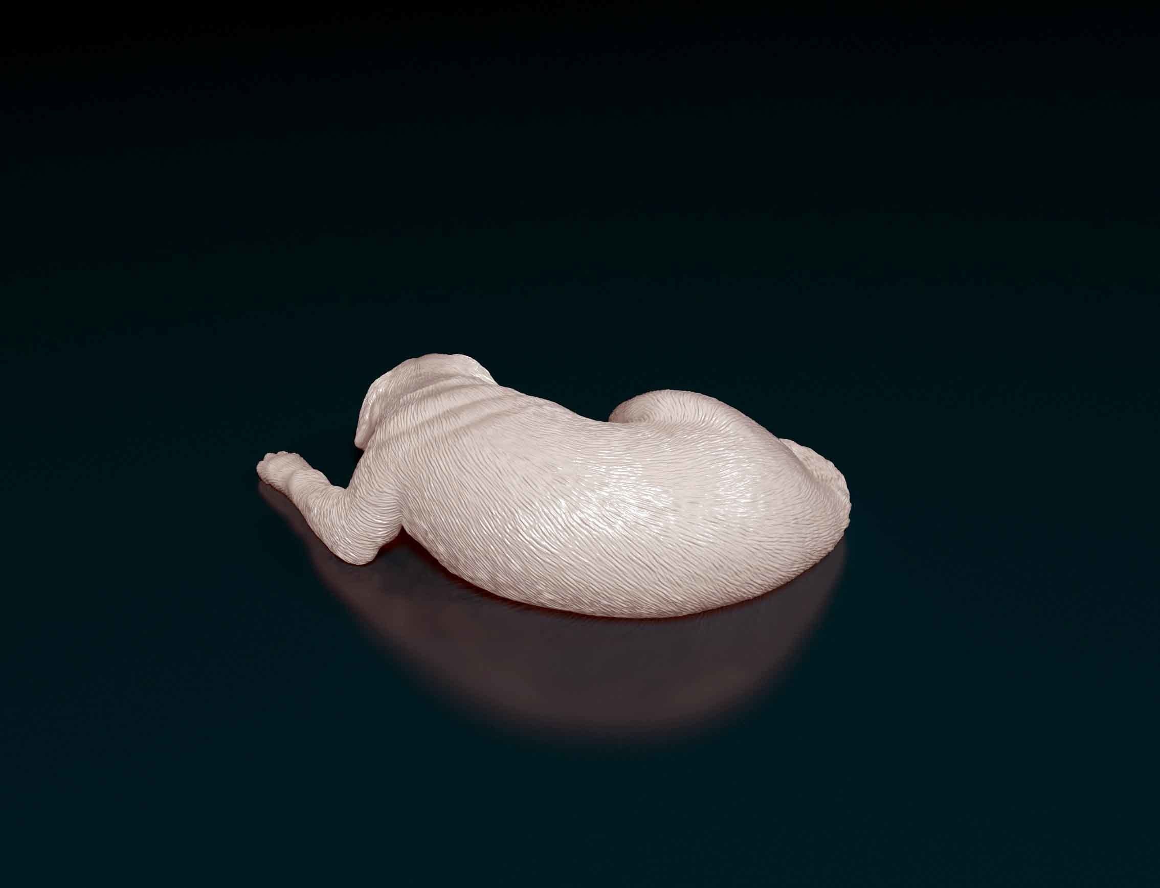 Rottweiler sleeping dog 3D print model_3