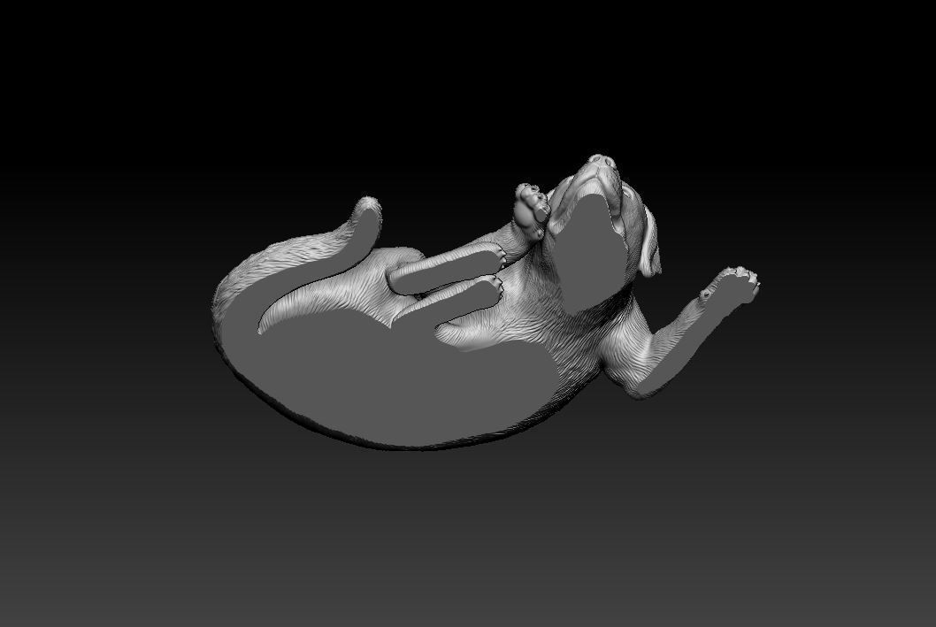 Rottweiler sleeping dog 3D print model_6