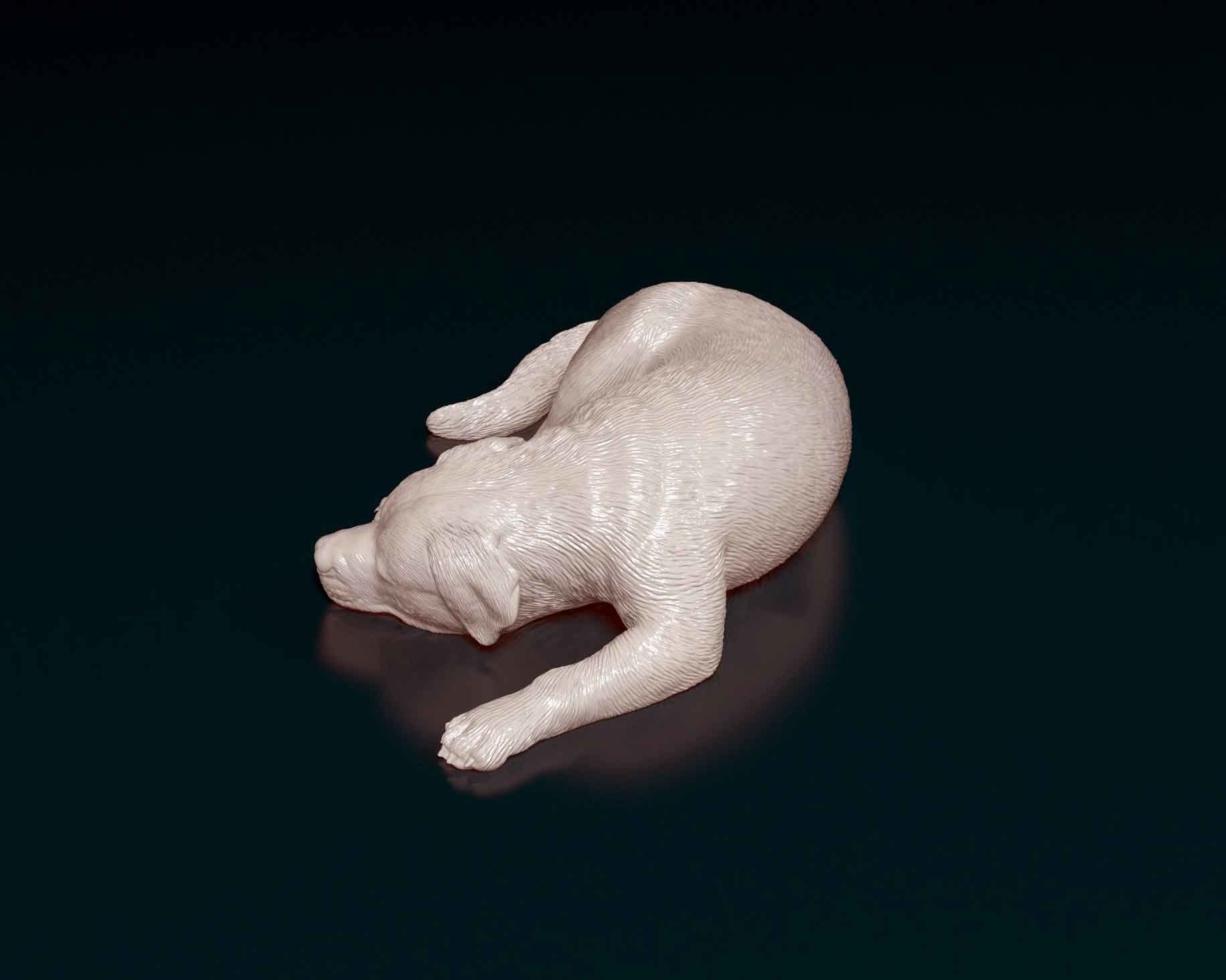 Rottweiler sleeping dog 3D print model_4