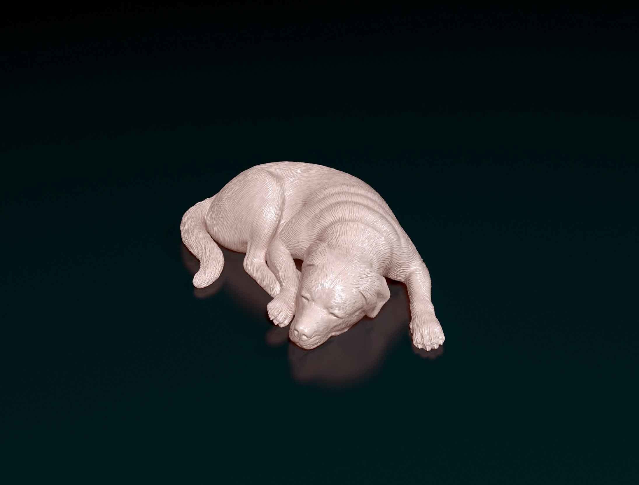 Rottweiler sleeping dog 3D print model_5