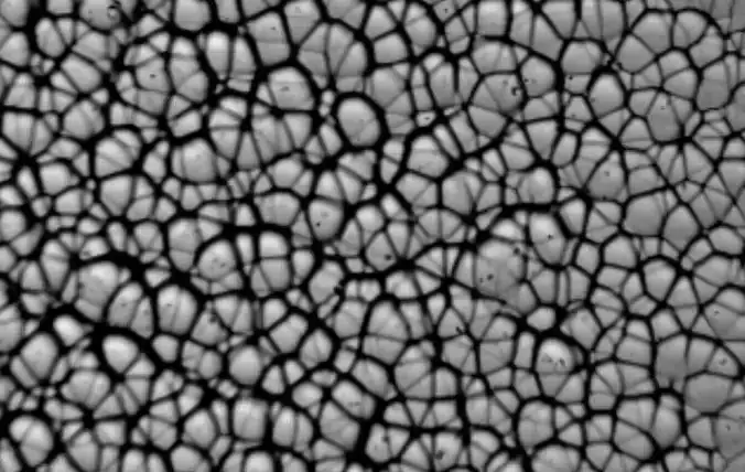 gnmnmnmnmnmnmnmnmnmnmnm