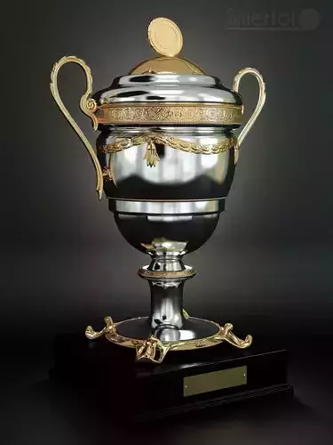 Football cup trophy