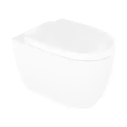 White Toilet Bowl 3D model