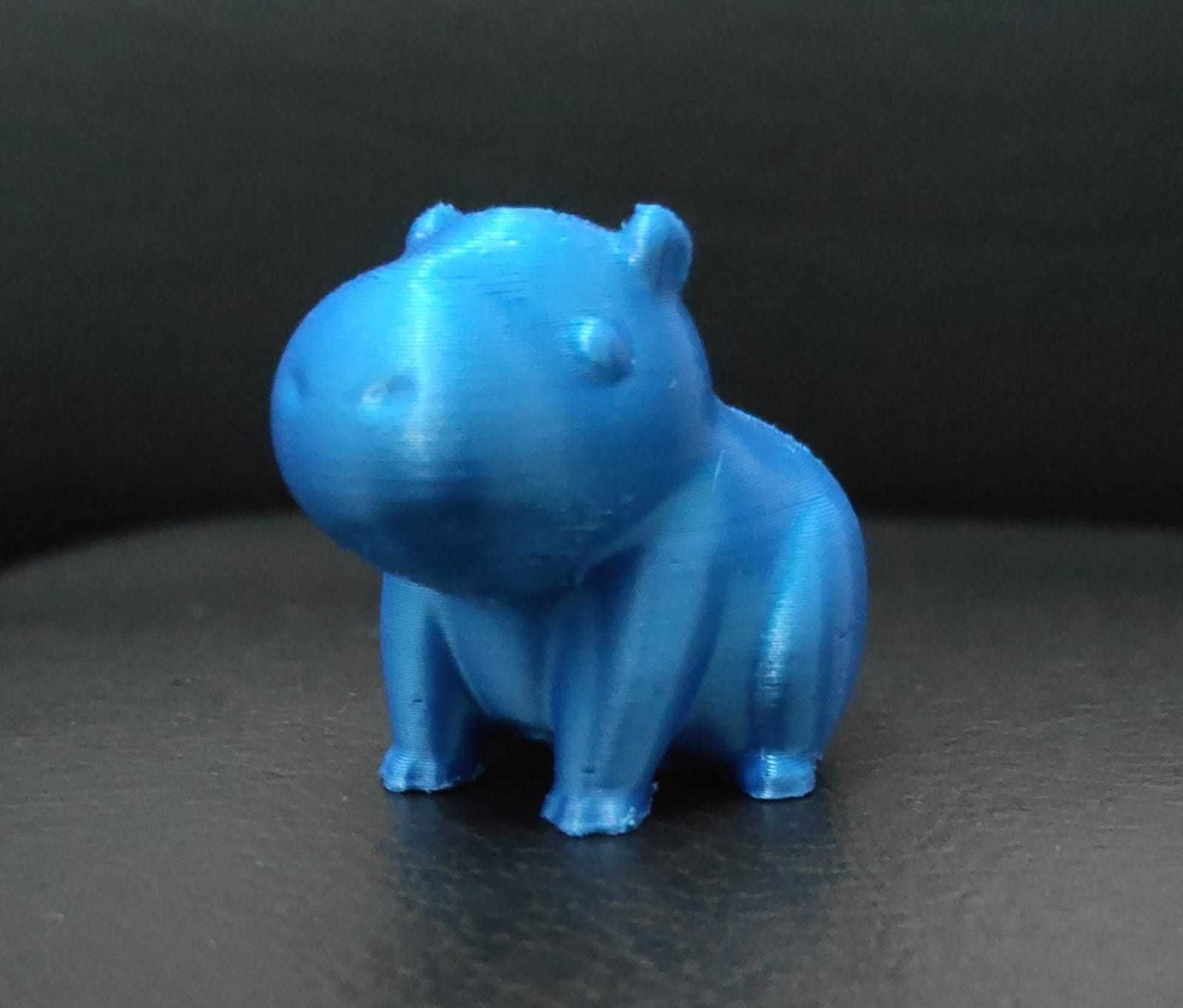 Little Capybara 3D print model_8