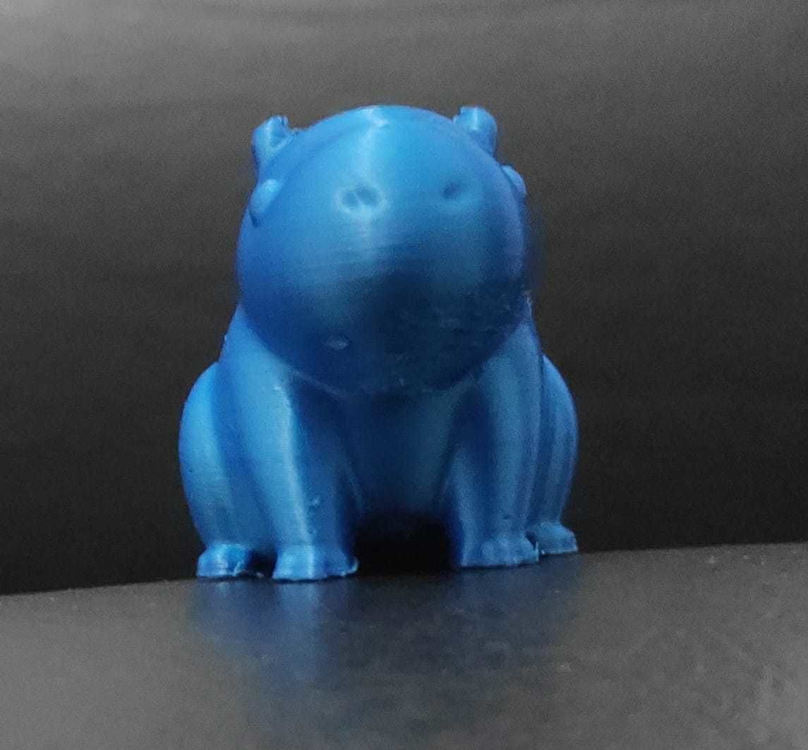 Little Capybara 3D print model_11