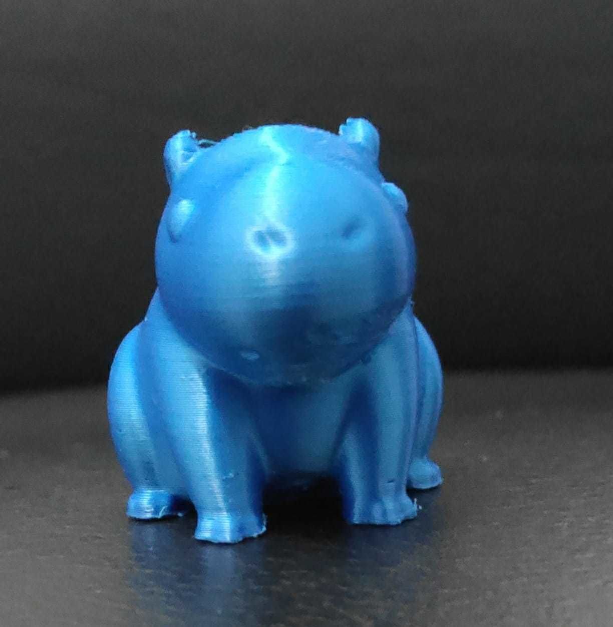 Little Capybara 3D print model_6