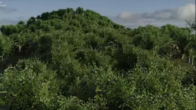 Realistic Trees  Free low-poly 3D model