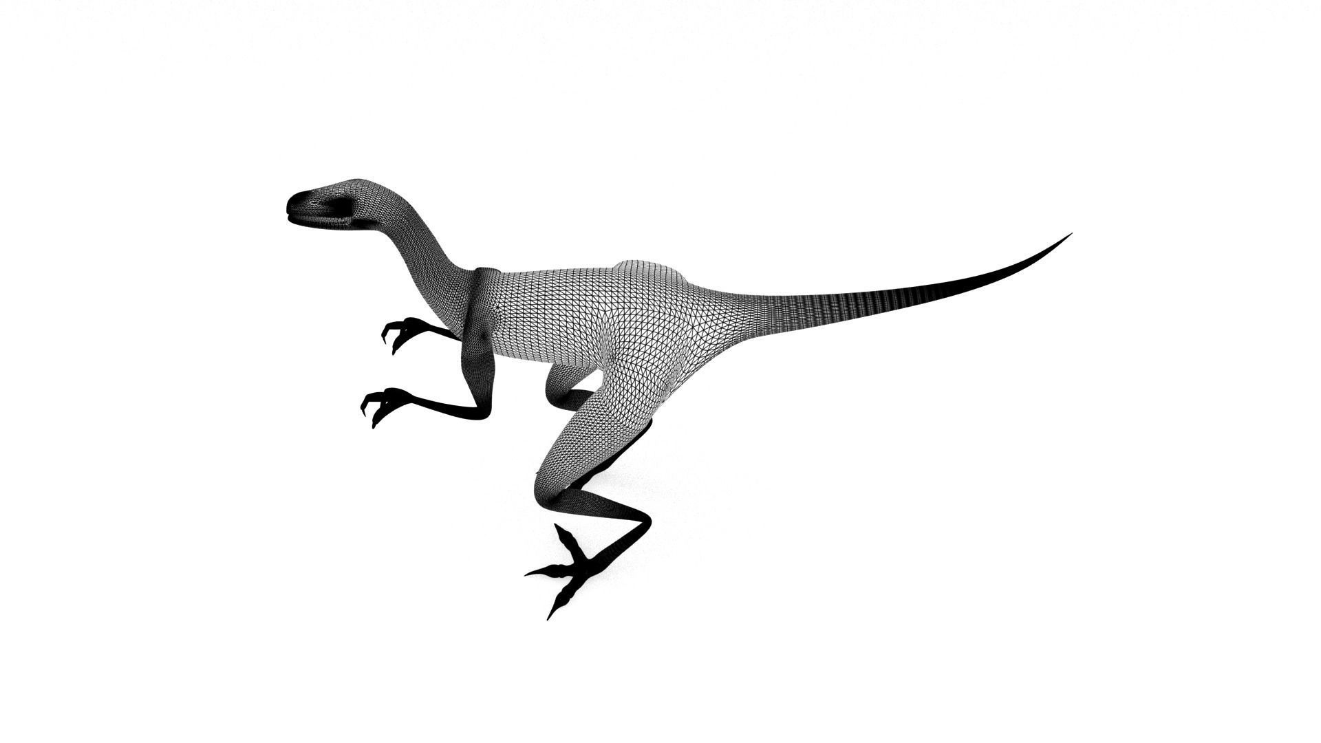 Raptor dinosaur 3D model_10