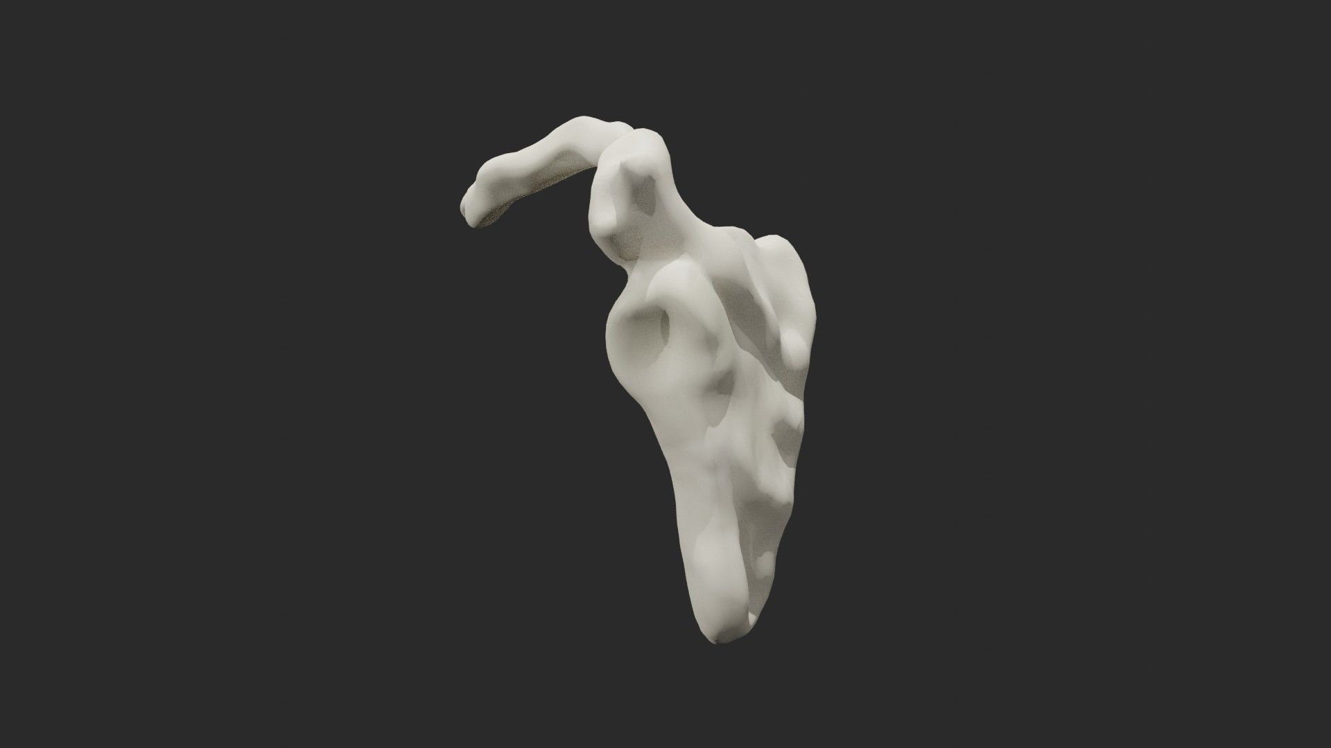 Clavicle collar bone 3D model_5