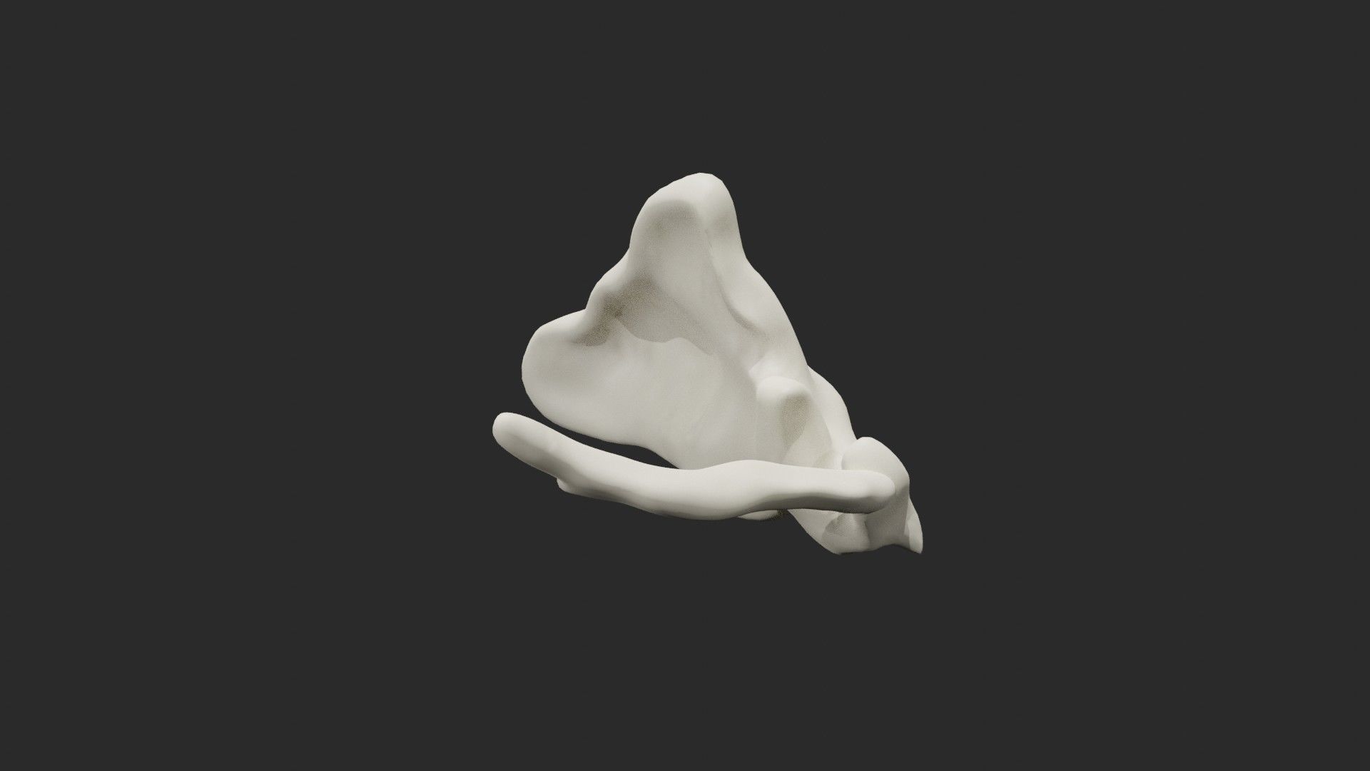 Clavicle collar bone 3D model_6