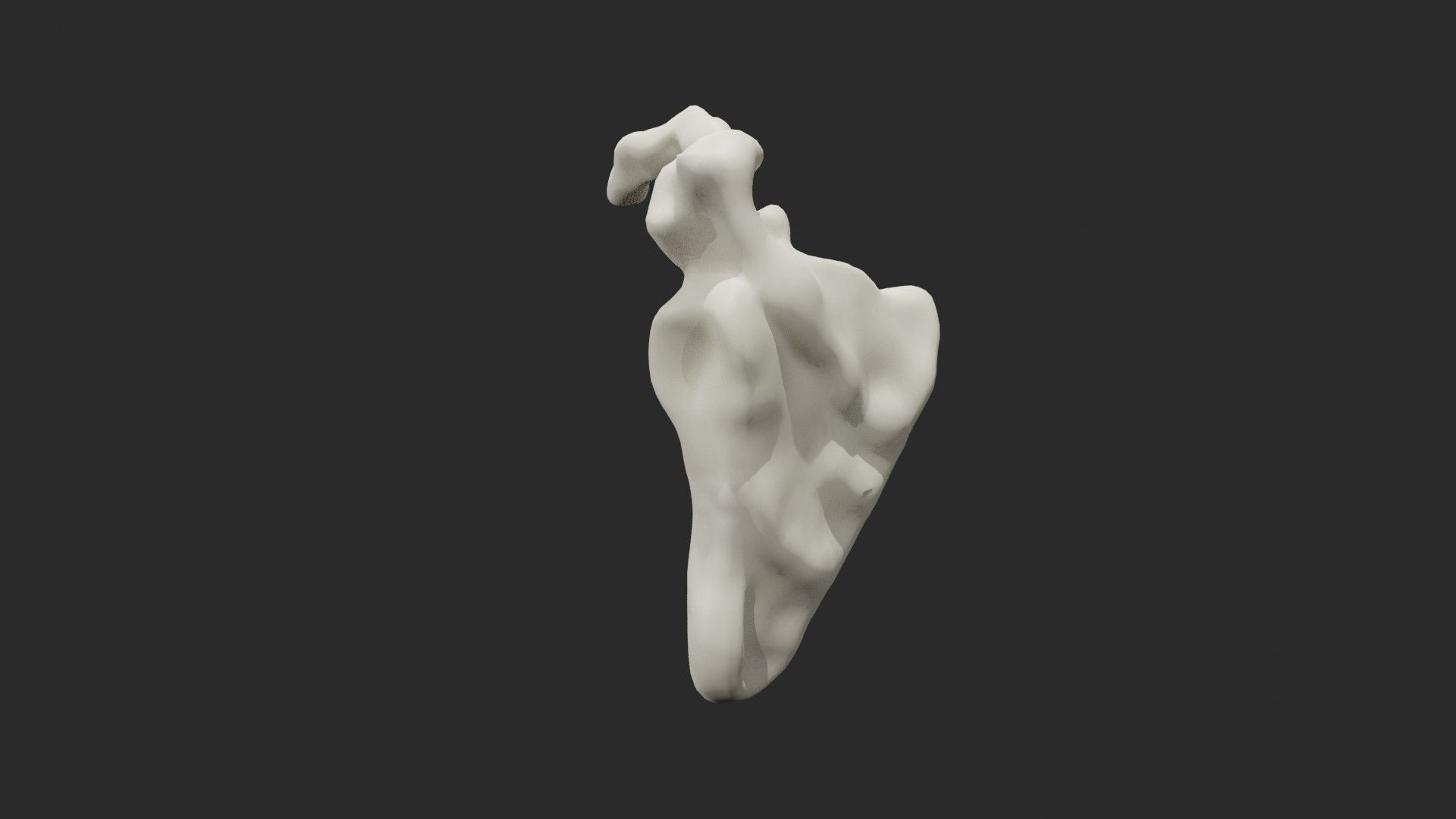 Clavicle collar bone 3D model_3