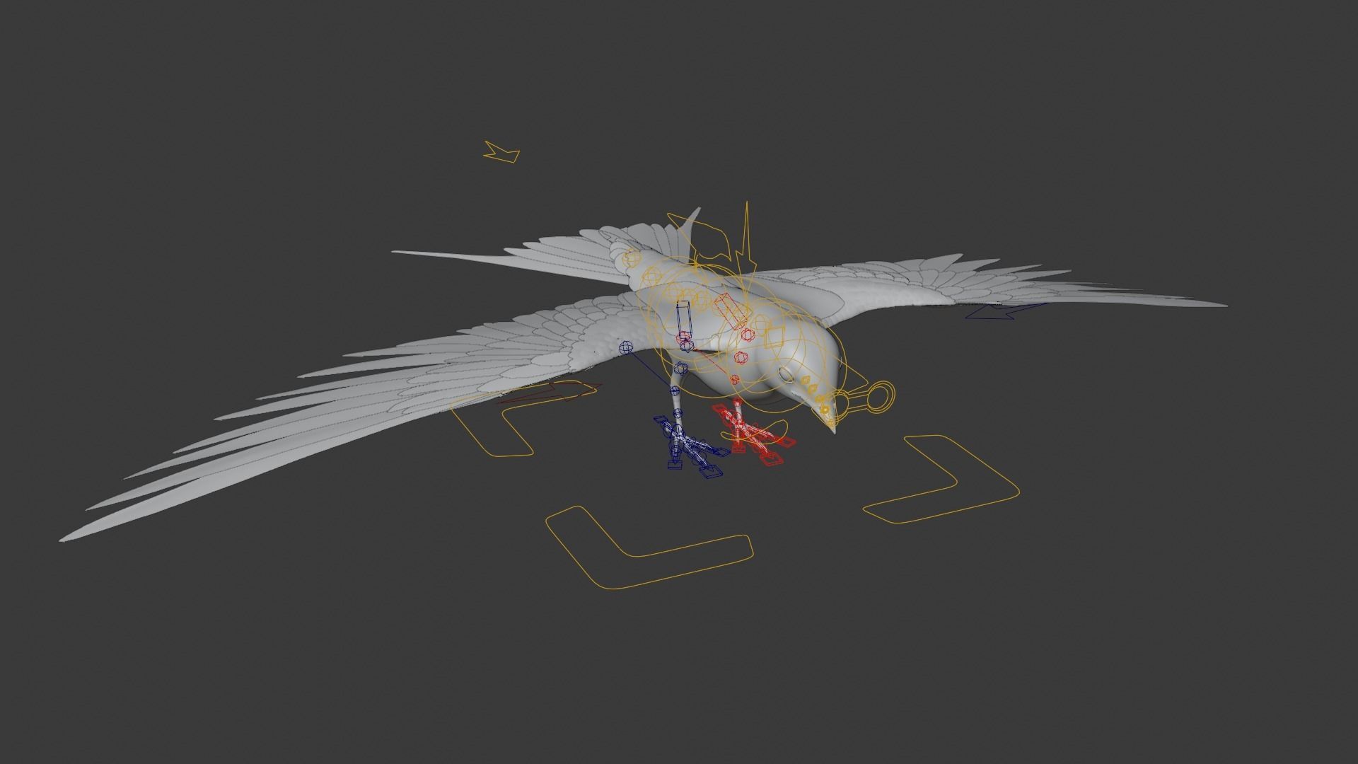 Barn Swallow Animated VFX Grace 3D model_16