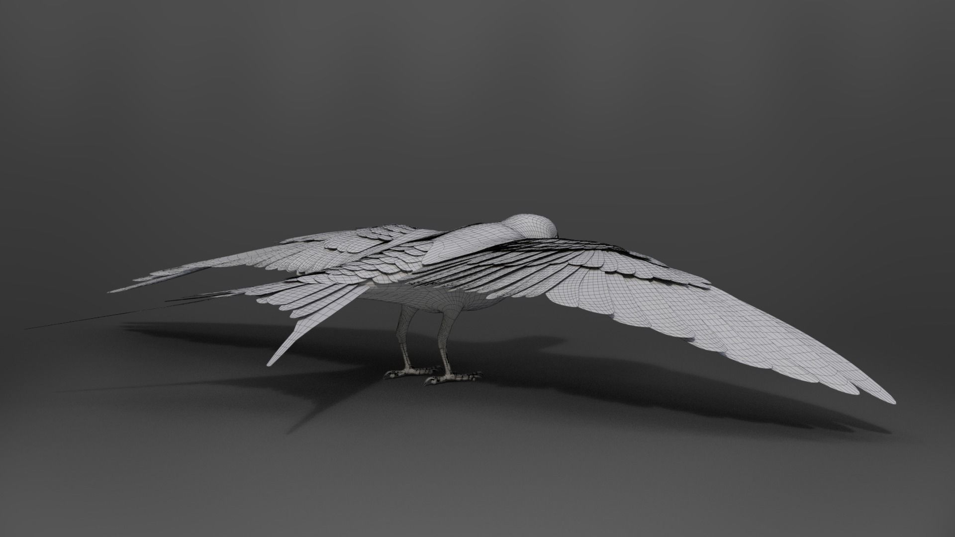 Barn Swallow Animated VFX Grace 3D model_22