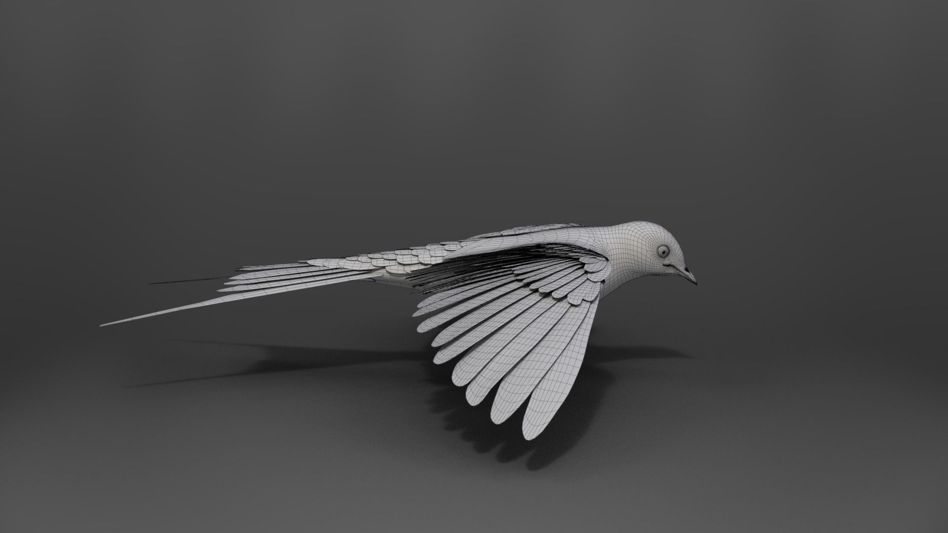 Barn Swallow Animated VFX Grace 3D model_23