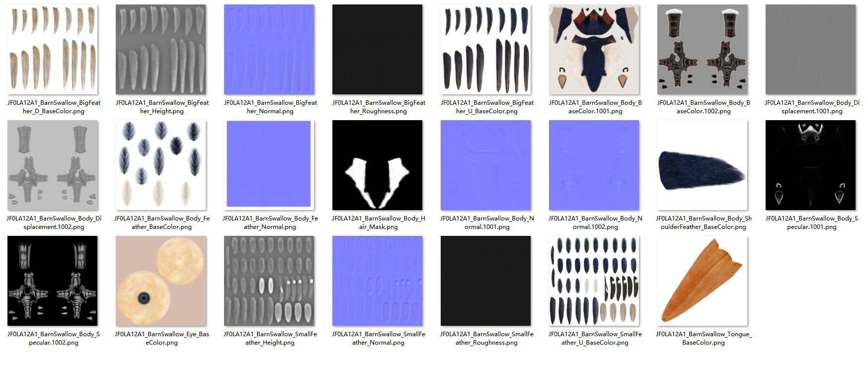 Barn Swallow Animated VFX Grace 3D model_32