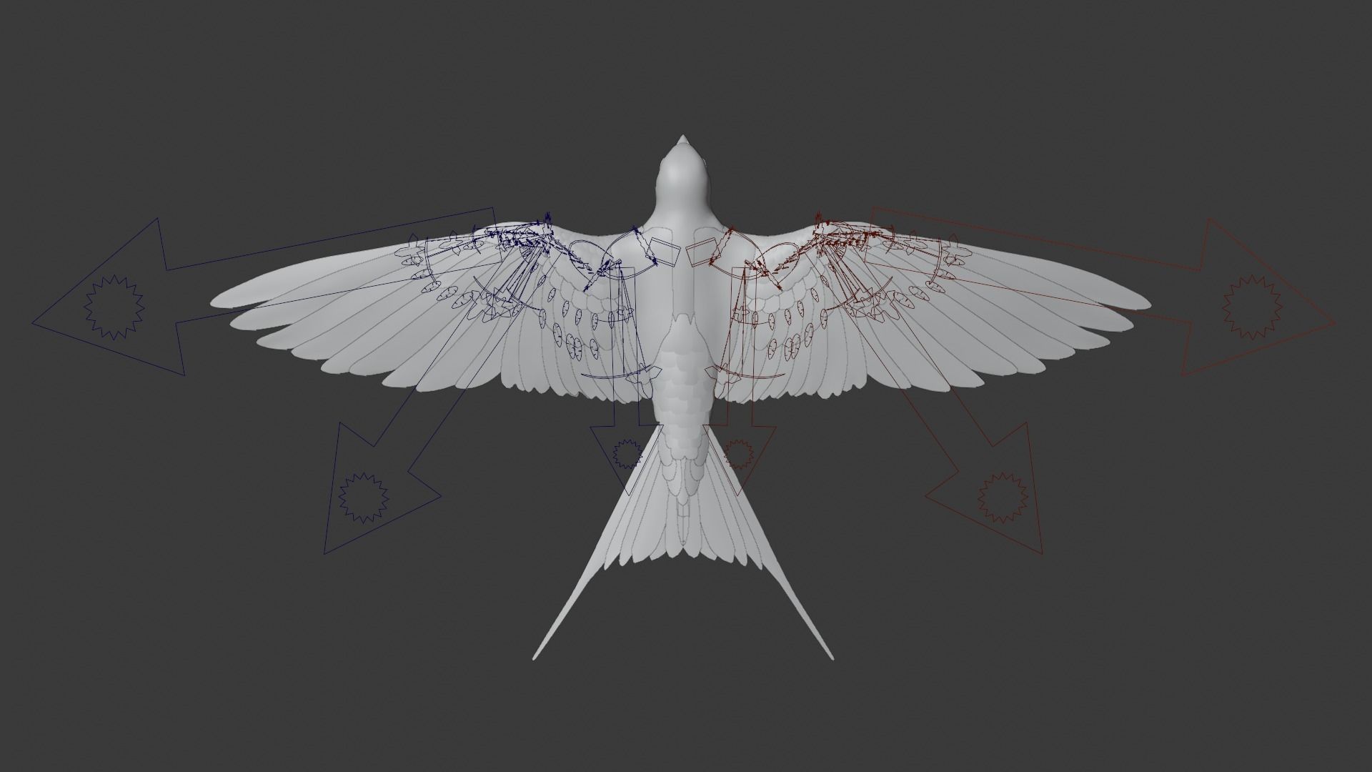 Barn Swallow Animated VFX Grace 3D model_19