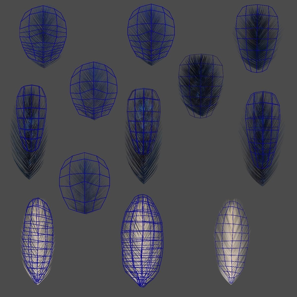 Barn Swallow Animated VFX Grace 3D model_27