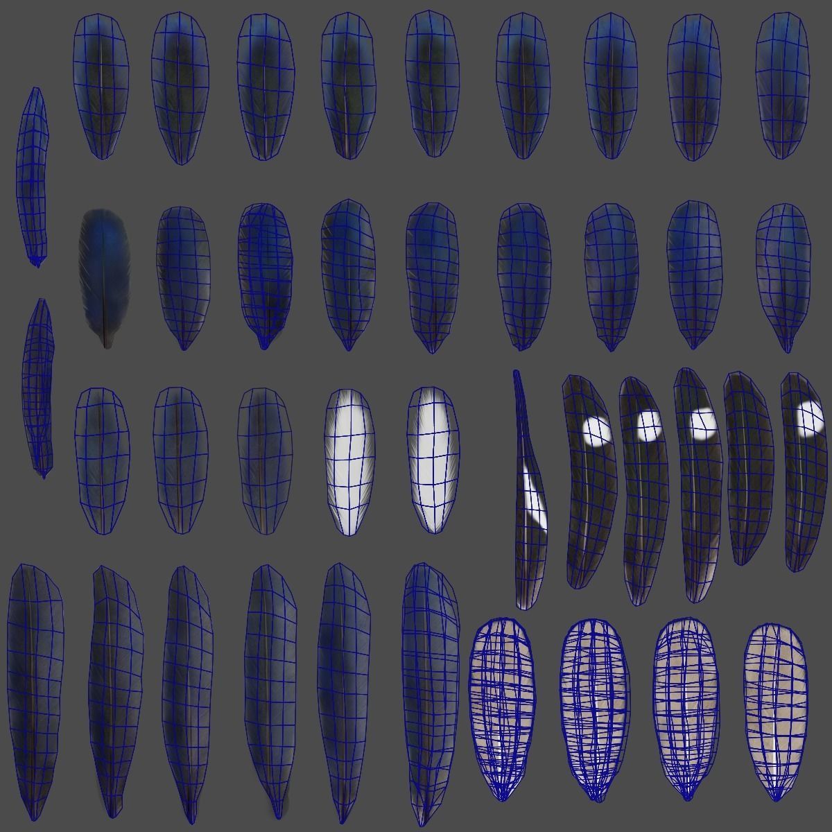 Barn Swallow Animated VFX Grace 3D model_29