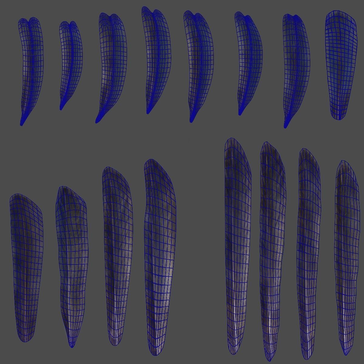 Barn Swallow Animated VFX Grace 3D model_26