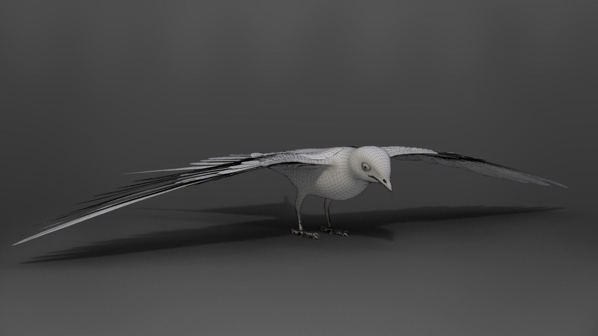 Barn Swallow Animated VFX Grace 3D model_24