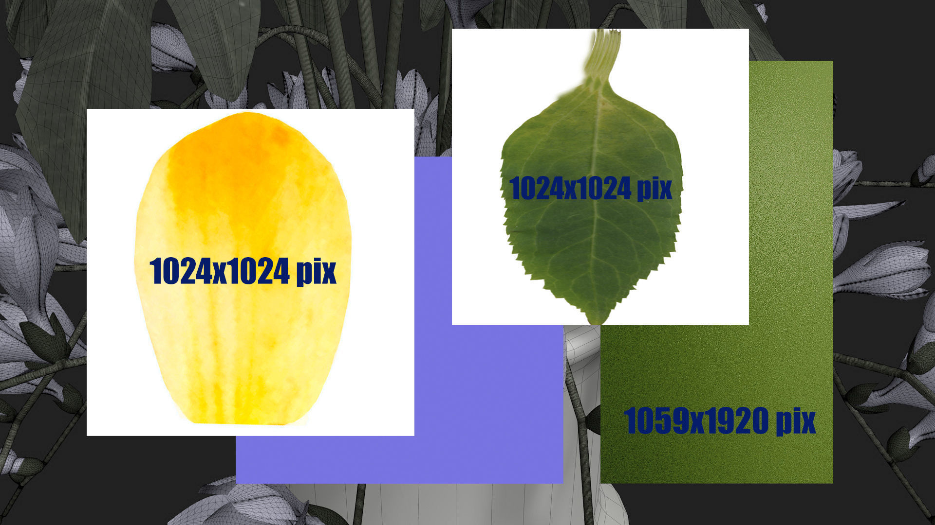 Flowers in a vase 3D model_9