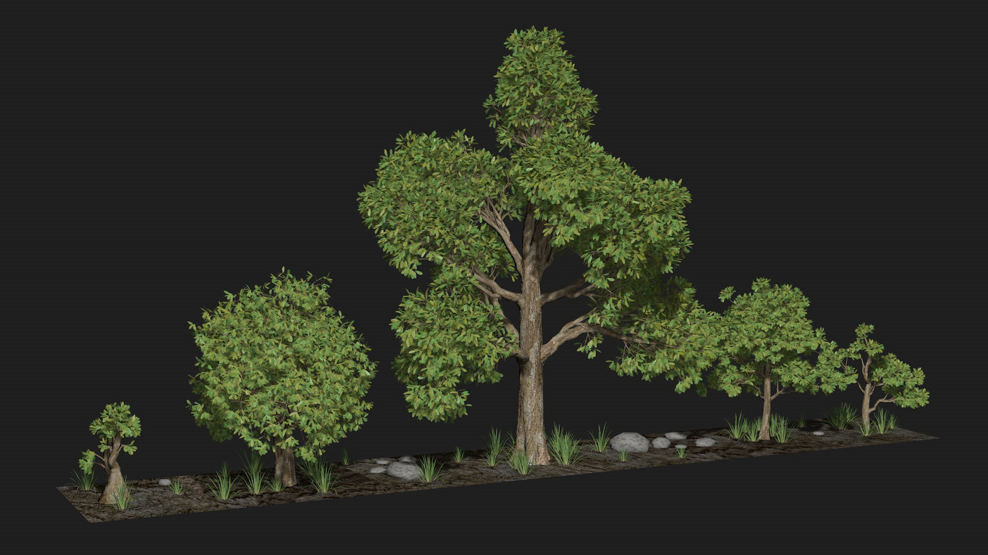 Five trees set R4 3D model_2