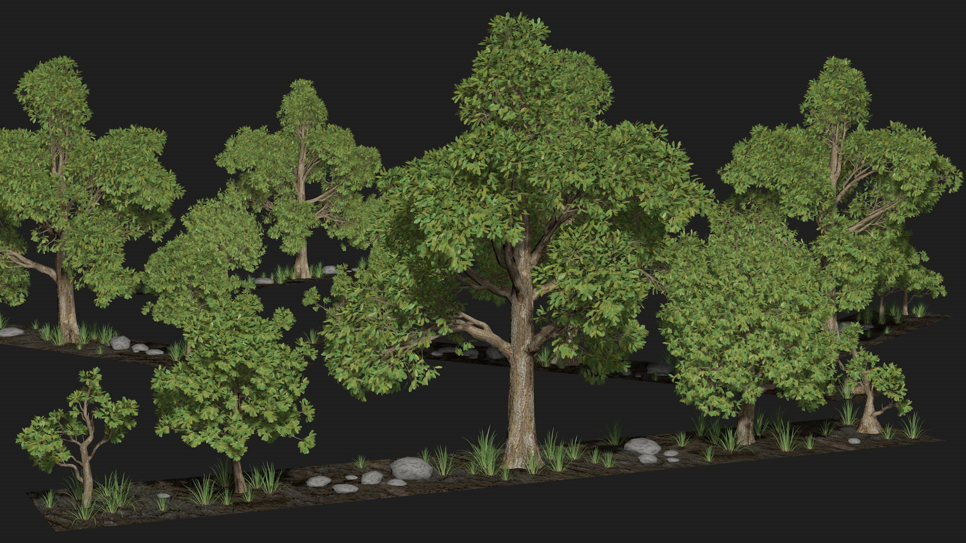 Five trees set R4 3D model_6