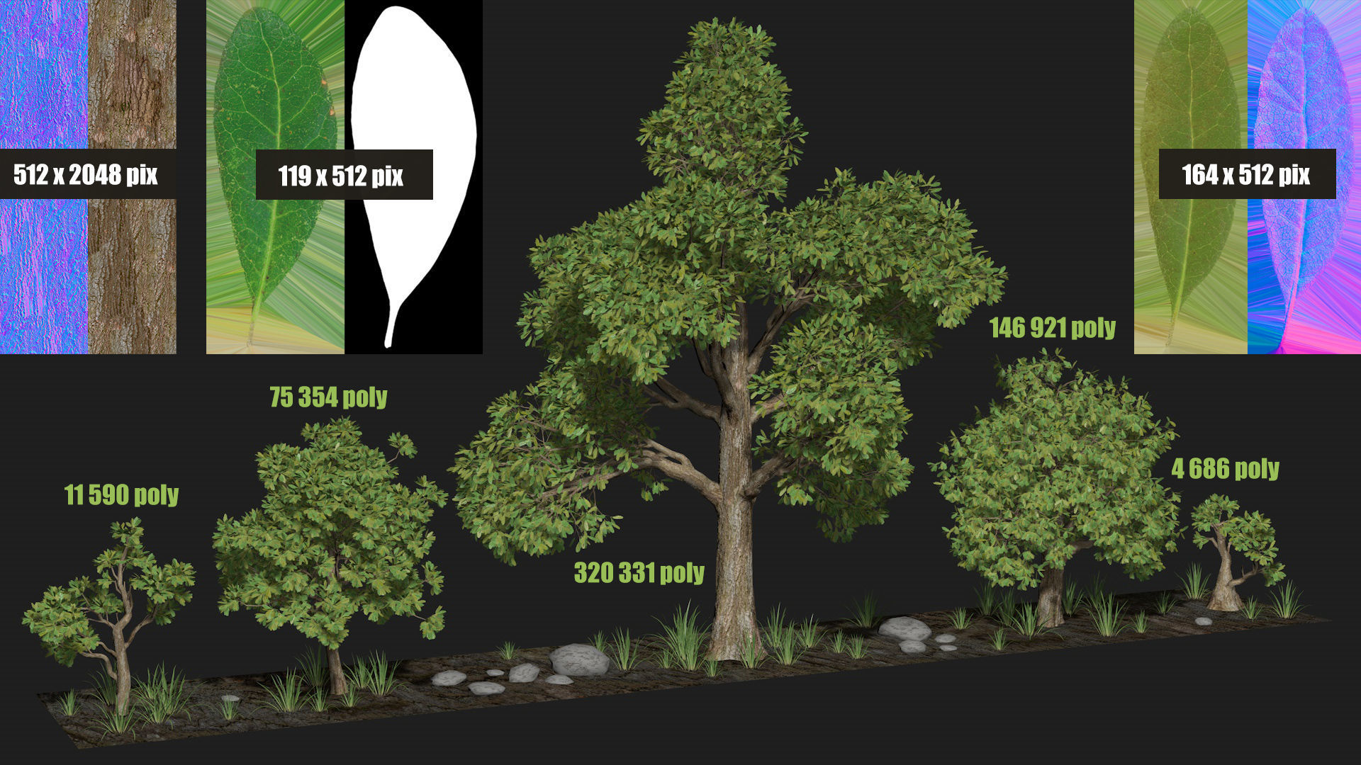 Five trees set R4 3D model_9
