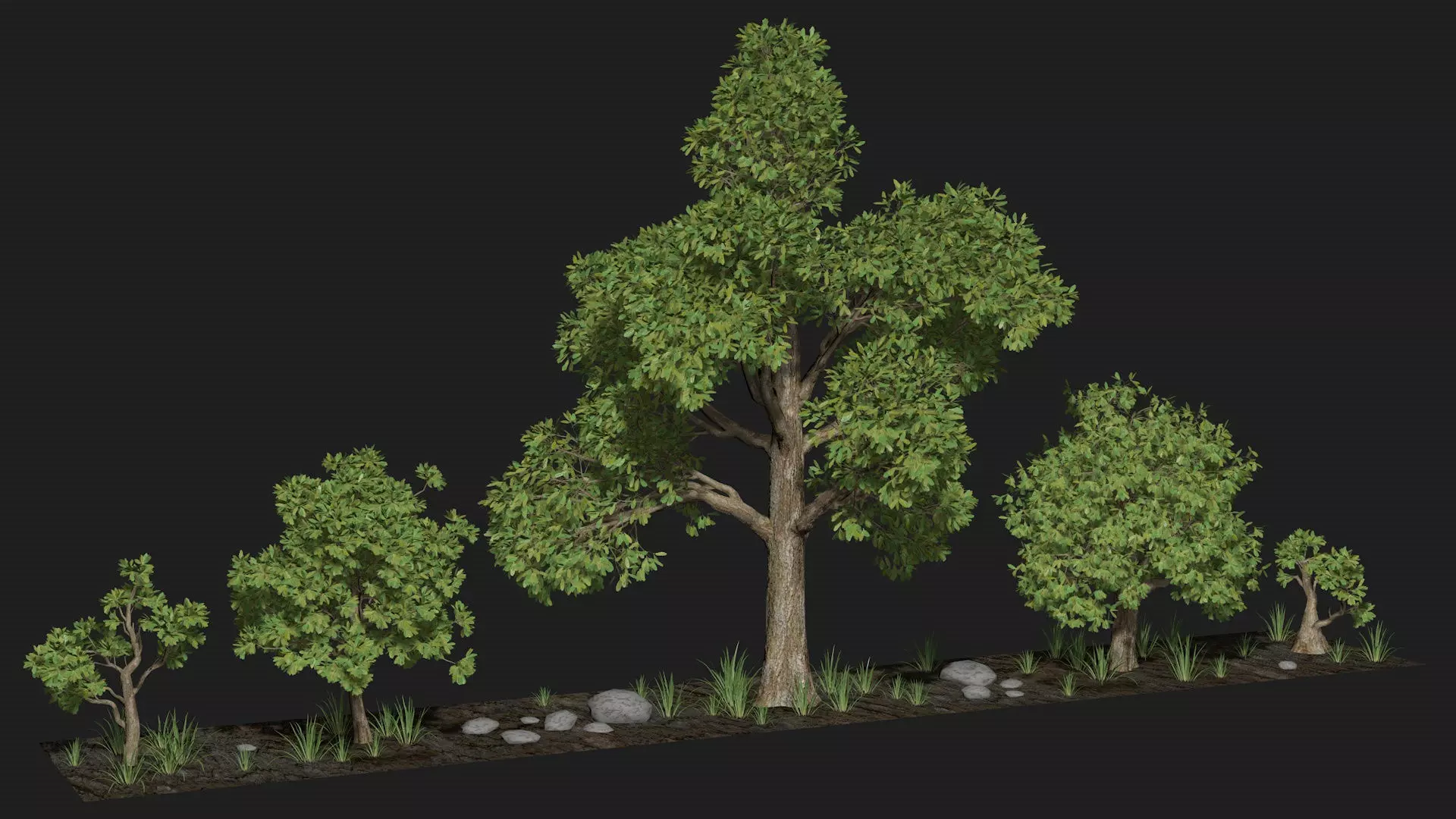 Five trees set R4 3D model_0